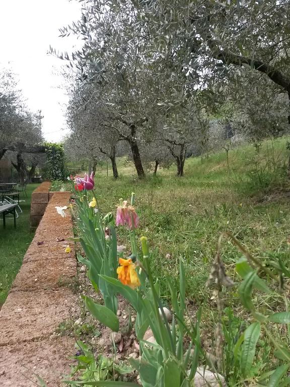 Agriturismo Camparella Пастренго Екстериор снимка