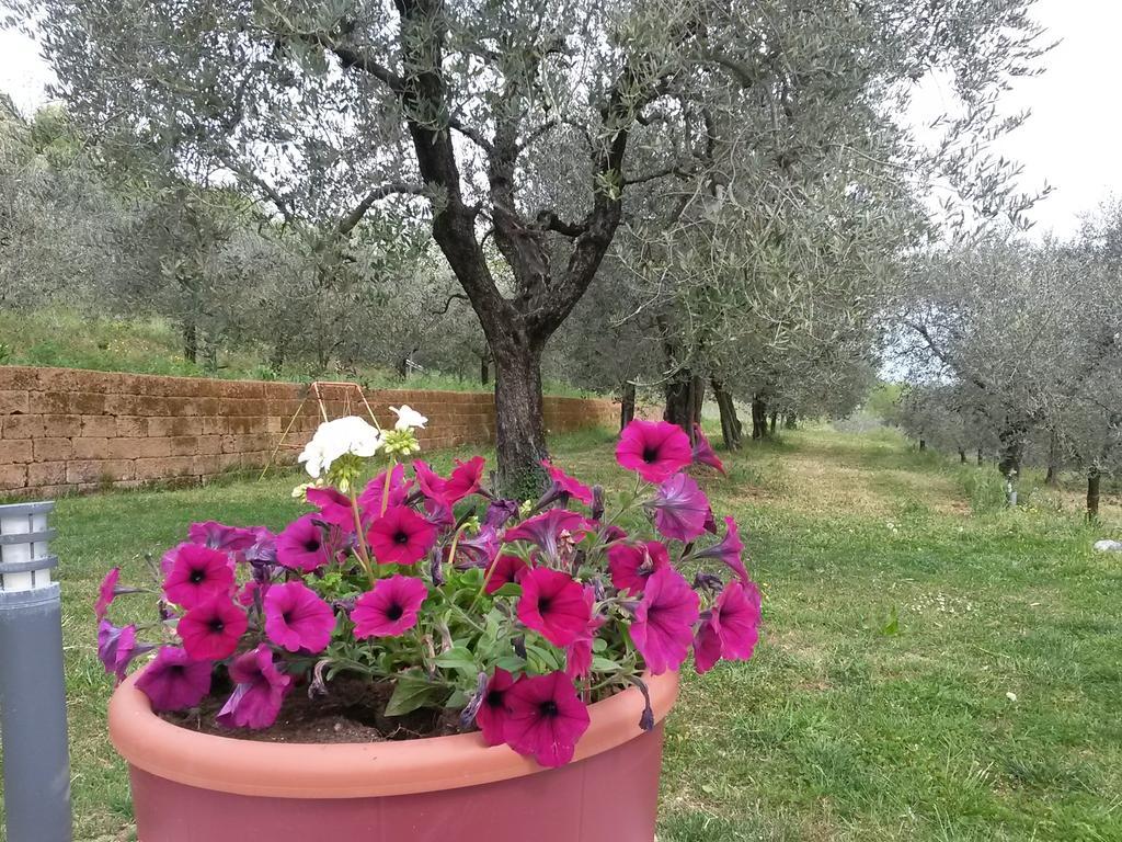 Agriturismo Camparella Пастренго Екстериор снимка