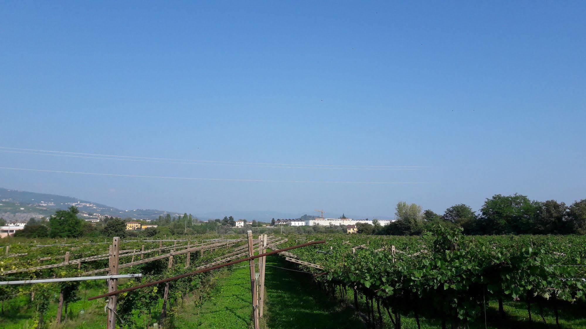 Agriturismo Camparella Пастренго Екстериор снимка